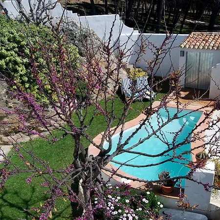 La Roca - A Fusion Of Modern And Typical Andalucian Architecture