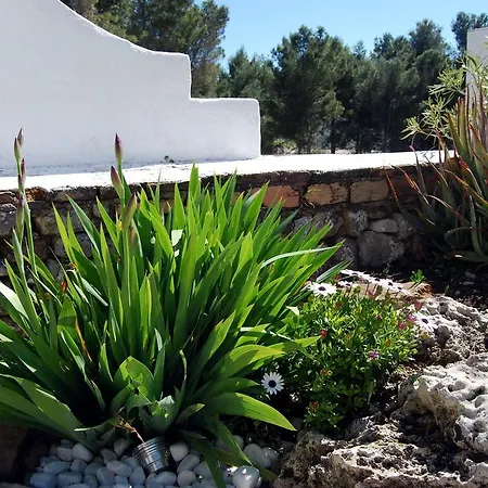 La Roca - A Fusion Of Modern And Typical Andalucian Architecture Сasa de vacaciones *
